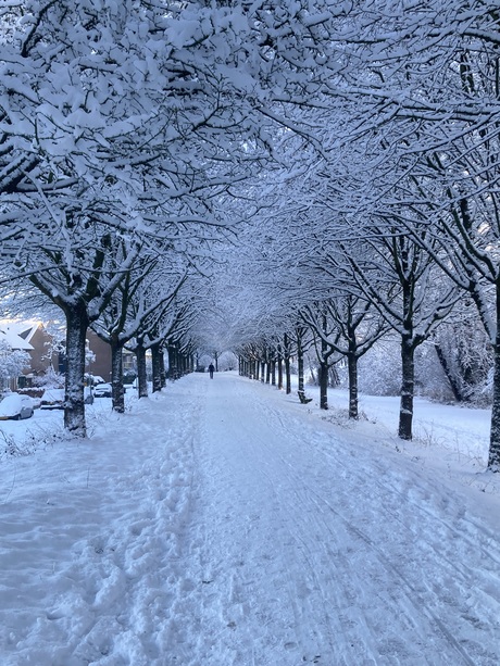Tunnel van sneeuw 