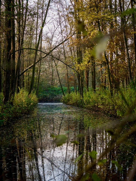 Herfst in Lunetten