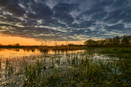 Wetlands sunset