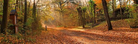 Herfst op de Kollenberg