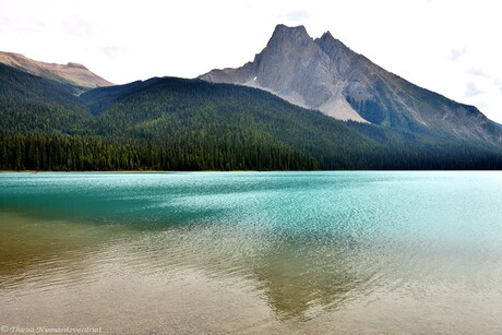 Emerald Reflections