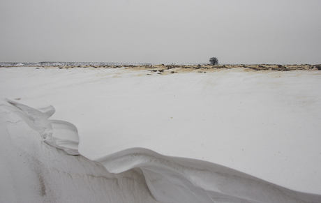 Serengeti in de Sneeuw