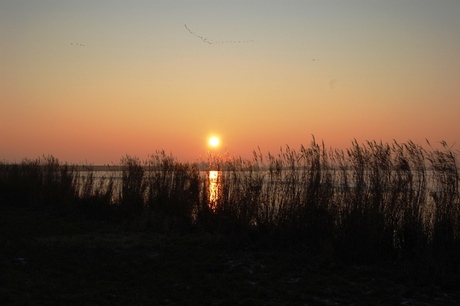 Ondergaande zon Volendam