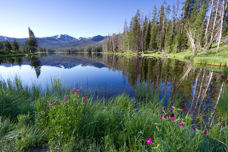 Reflecties in Yellowstone NP