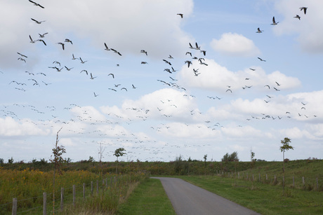 De vlucht