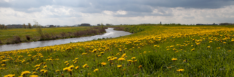 Hollands landschap