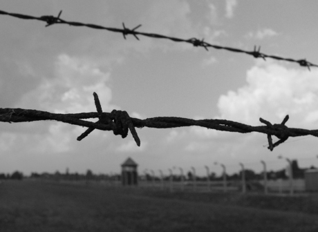 Concentratiekamp Auschwitz