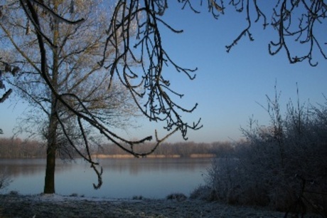 Wintersweer aan de Vormerseplas te Wijchen