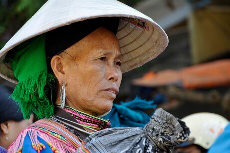 Flower H'mong in Bac Ha