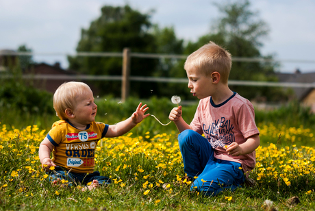 Broederliefde