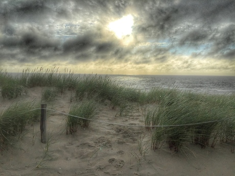 Texelse duinen