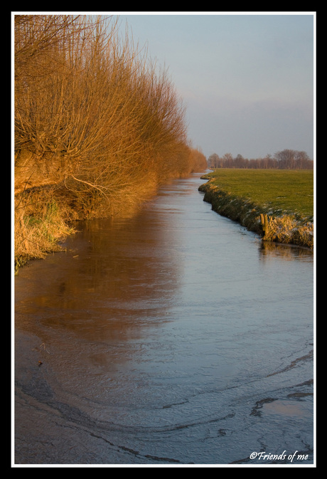 Zonnige koude middag in wilnis 02