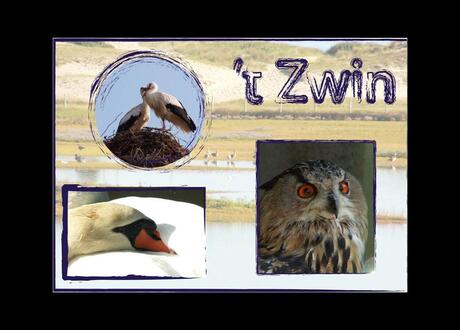 't zwin