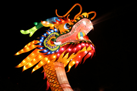 China Light Rotterdam - Chinese draak