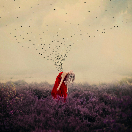 The Opening of the Floodgates that let the Darkness out