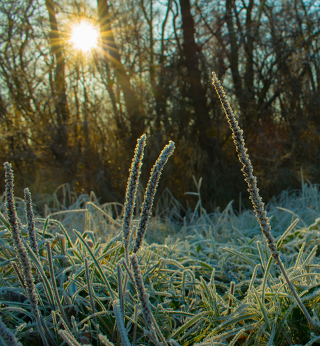 Winter land