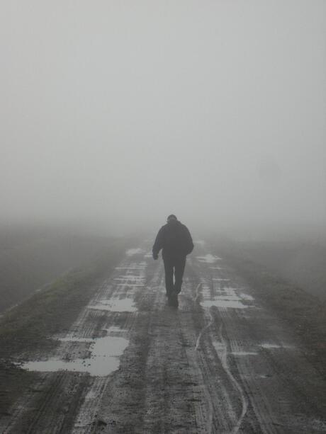 In de mist