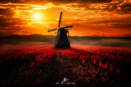 Windmill