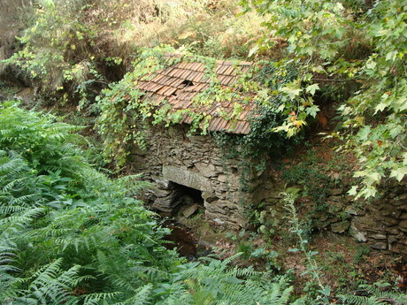 cottage