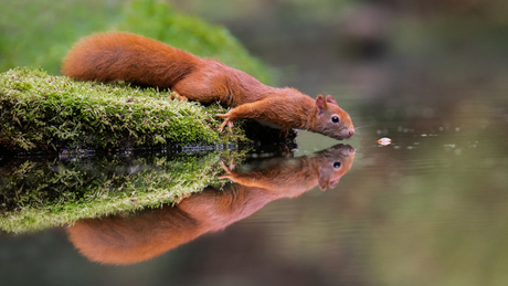 A little bit closer...