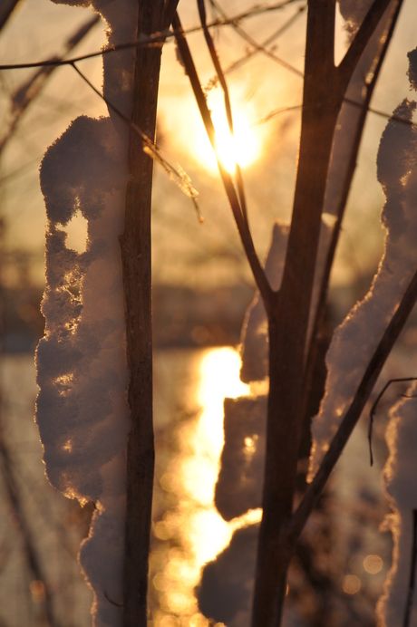 Winter uiterwaarden