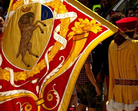 Siena: Palio Colours