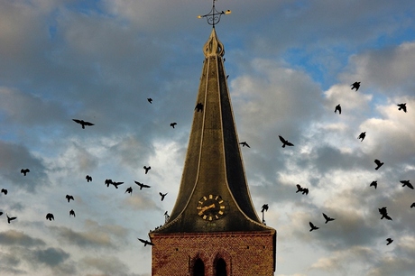 Kraaien rond de kerk