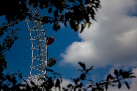 Eye and Tree