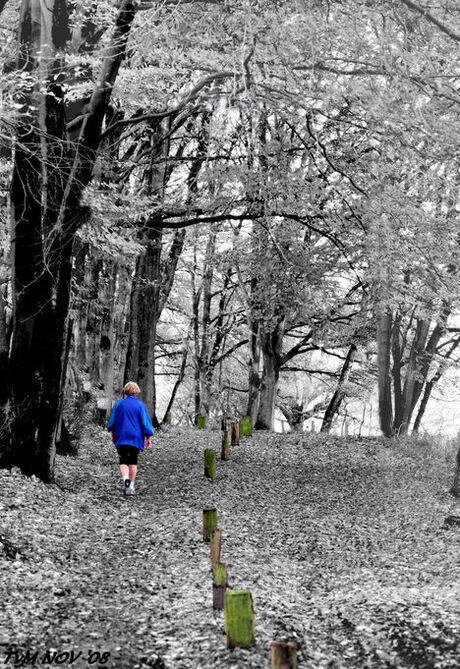 jogger in blue