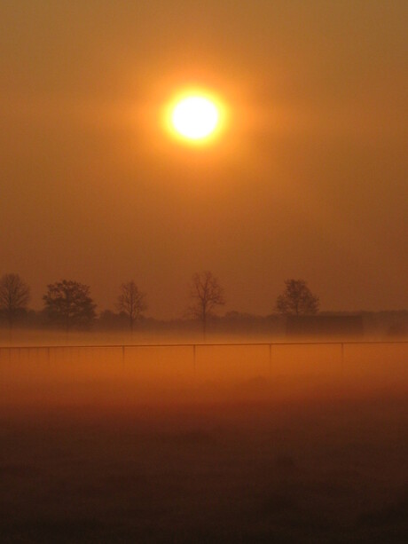 Ochtendstond heeft Goud in de mond.