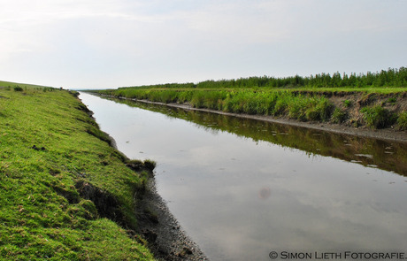 Water in de polder