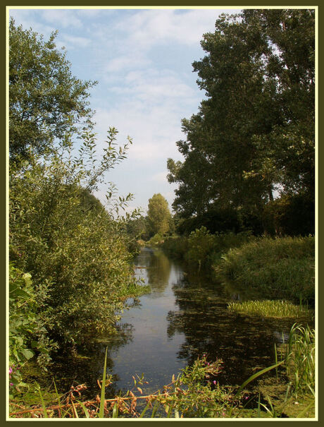 Reeuwijkse Plassen