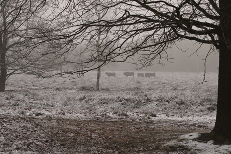 Op een winterse dag