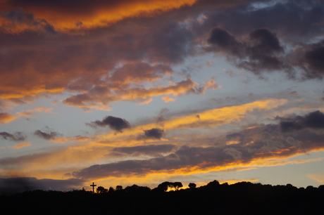 Sunset Silhouette