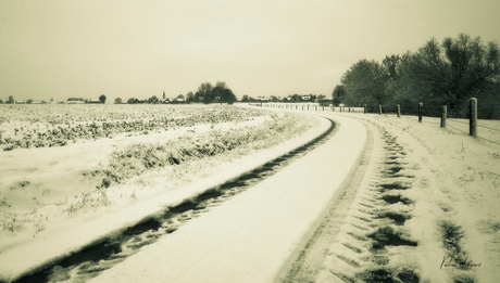 190123 - sneeuw (3. Natuur) - 0021