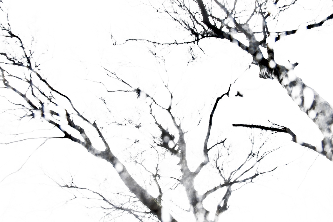 rain is just confetti from the sky... - - - foto door TantePee op 03-03-2017 - deze foto bevat: boom, abstract, regen, druppel, licht