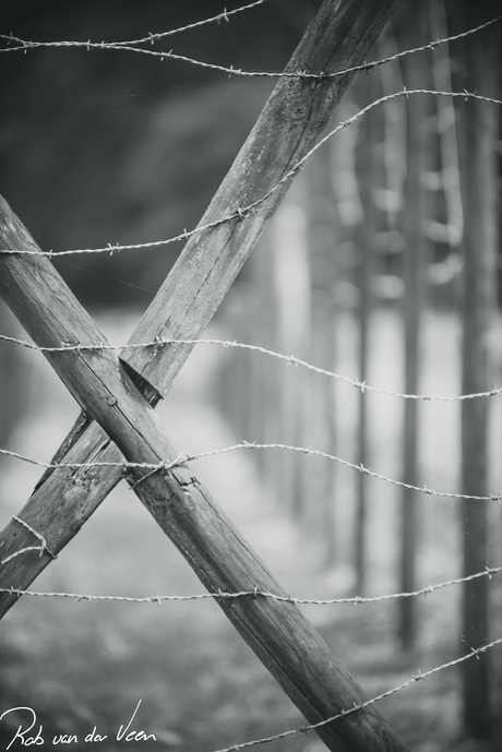 Kamp Westerbork