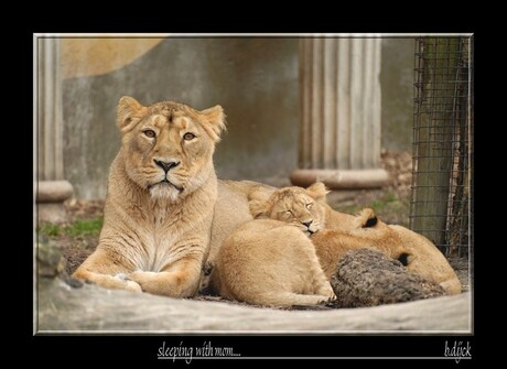 sleeping with mom...