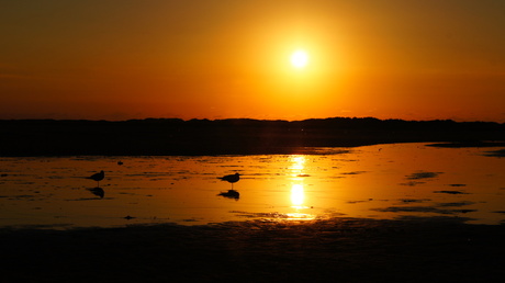 Ondergaande zon Groene strand