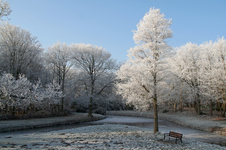 Bankje in de winter