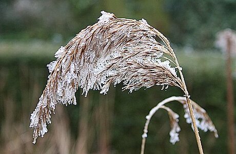 Laatste stukje winter?