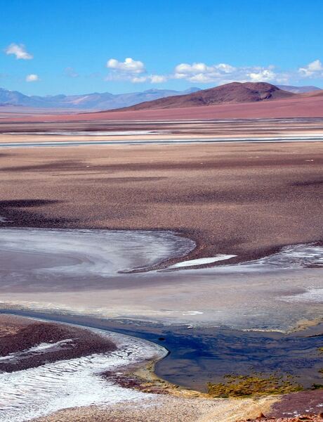 Chili, Atacama woestijn, Salar de Tara