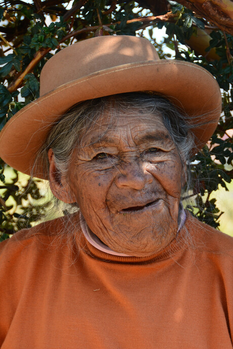 Peruaanse grand old lady