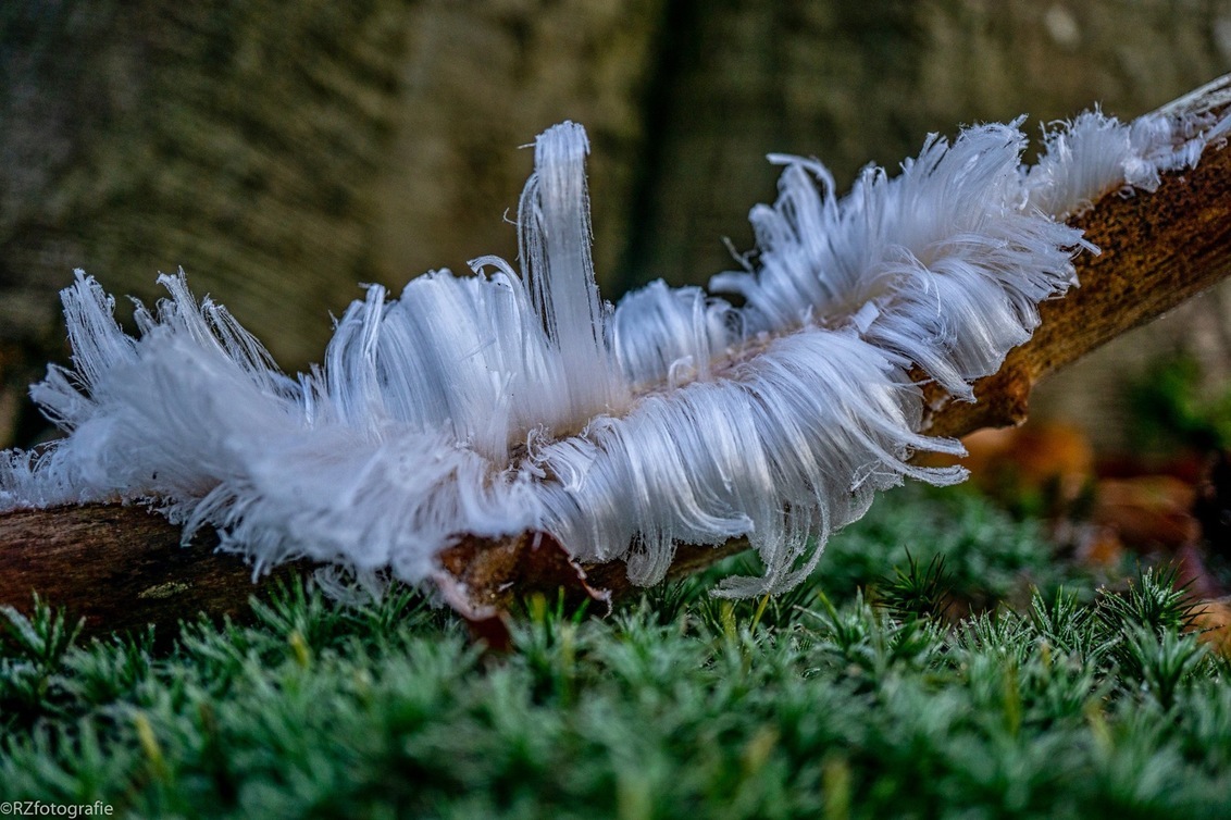 IJshaar, bijzonder natuurverschijnsel - foto van g.zoet3 - Natuur - Zoom.nl