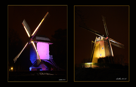 Bokrijk by night