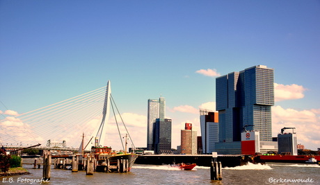 Rotterdam