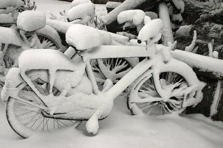 Winter op Terschelling