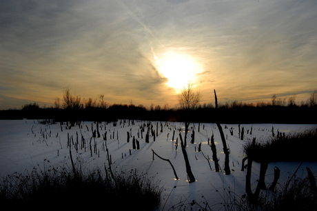 Bargerveen in de schemering