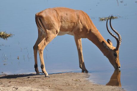 Botswana 228.jpg