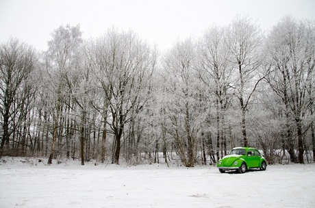 kever in de sneeuw